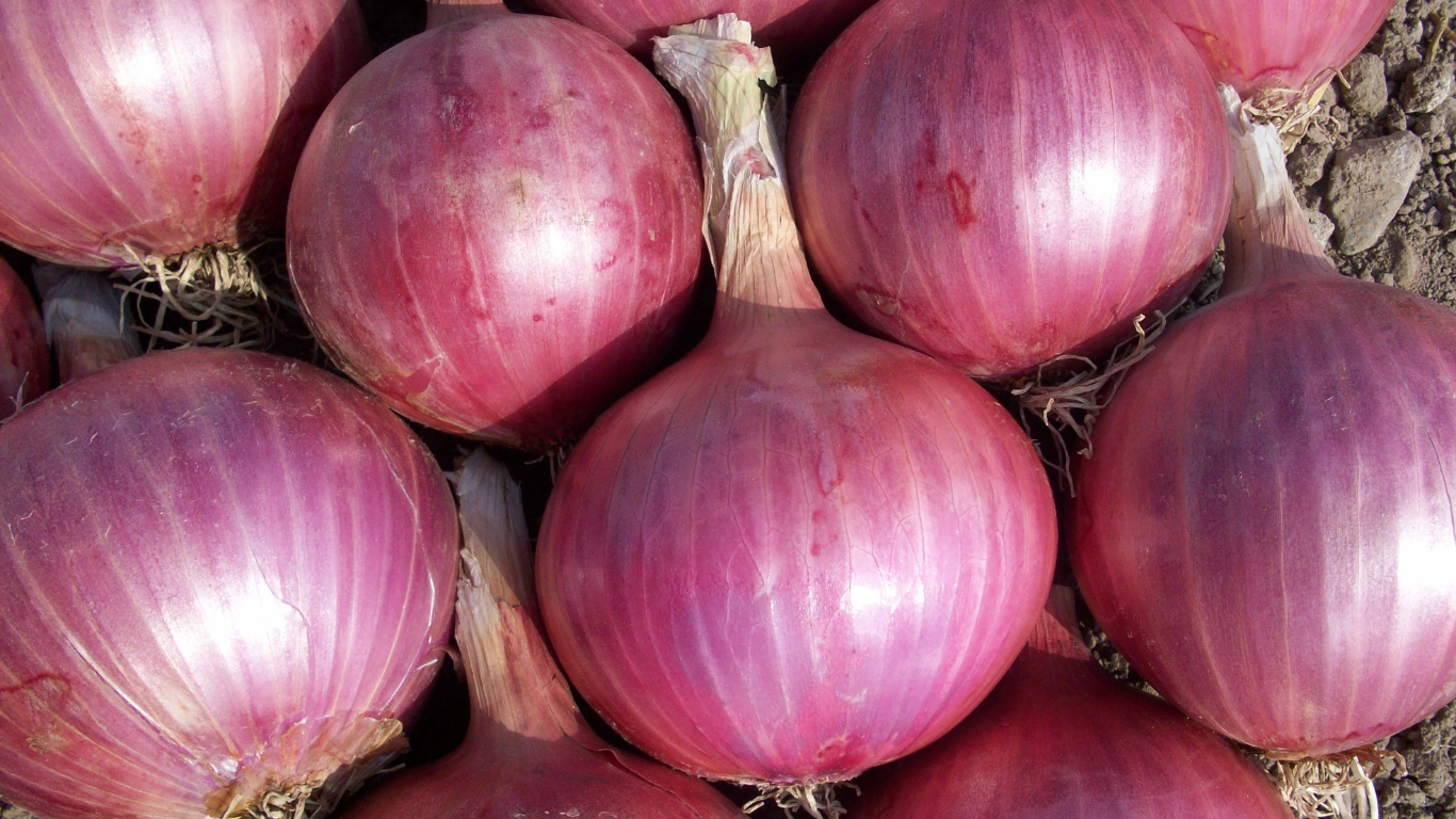 Fresh Onion Packaging