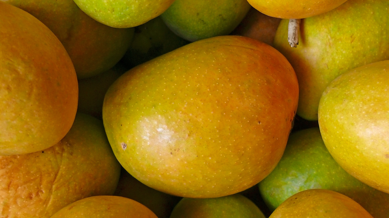 Alphonso Mango Packaging