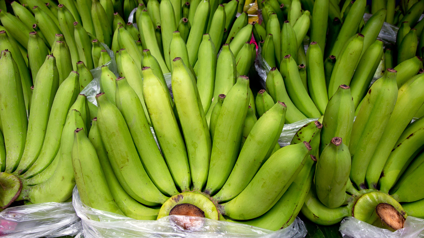 Banana Packaging for Export