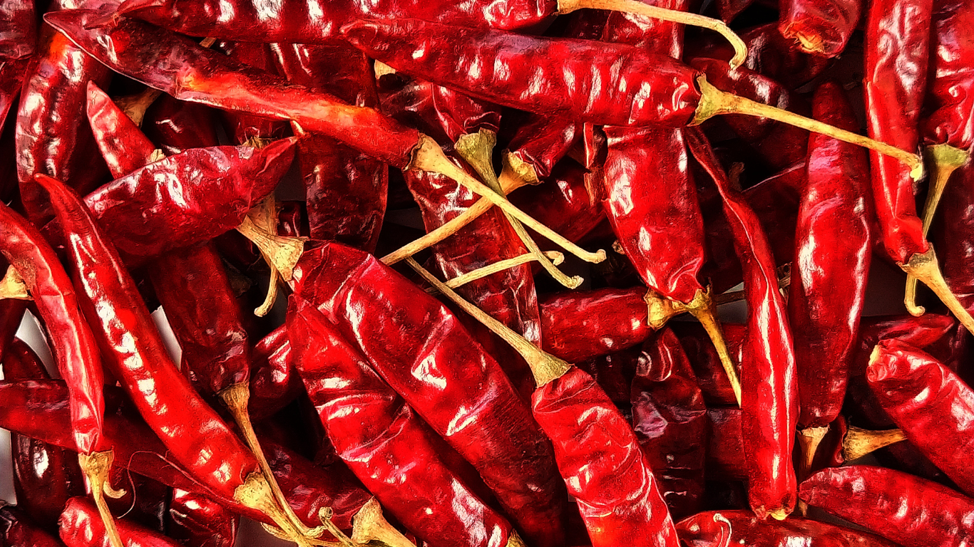 Dry Red Chilli Exporter From India