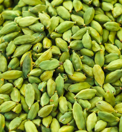 Fenugreek Seeds