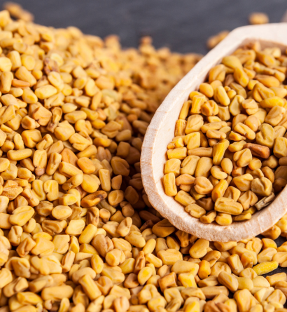 Fenugreek Seeds