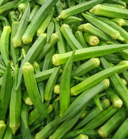 Fresh Onion
