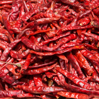 Dry Red Chilli